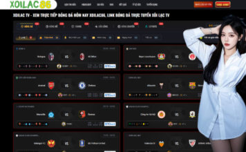 The Digital Evolution of English Football Coverage and Real Time Access